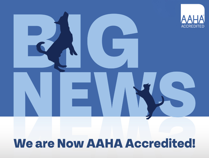 We're AAHA Accredited!